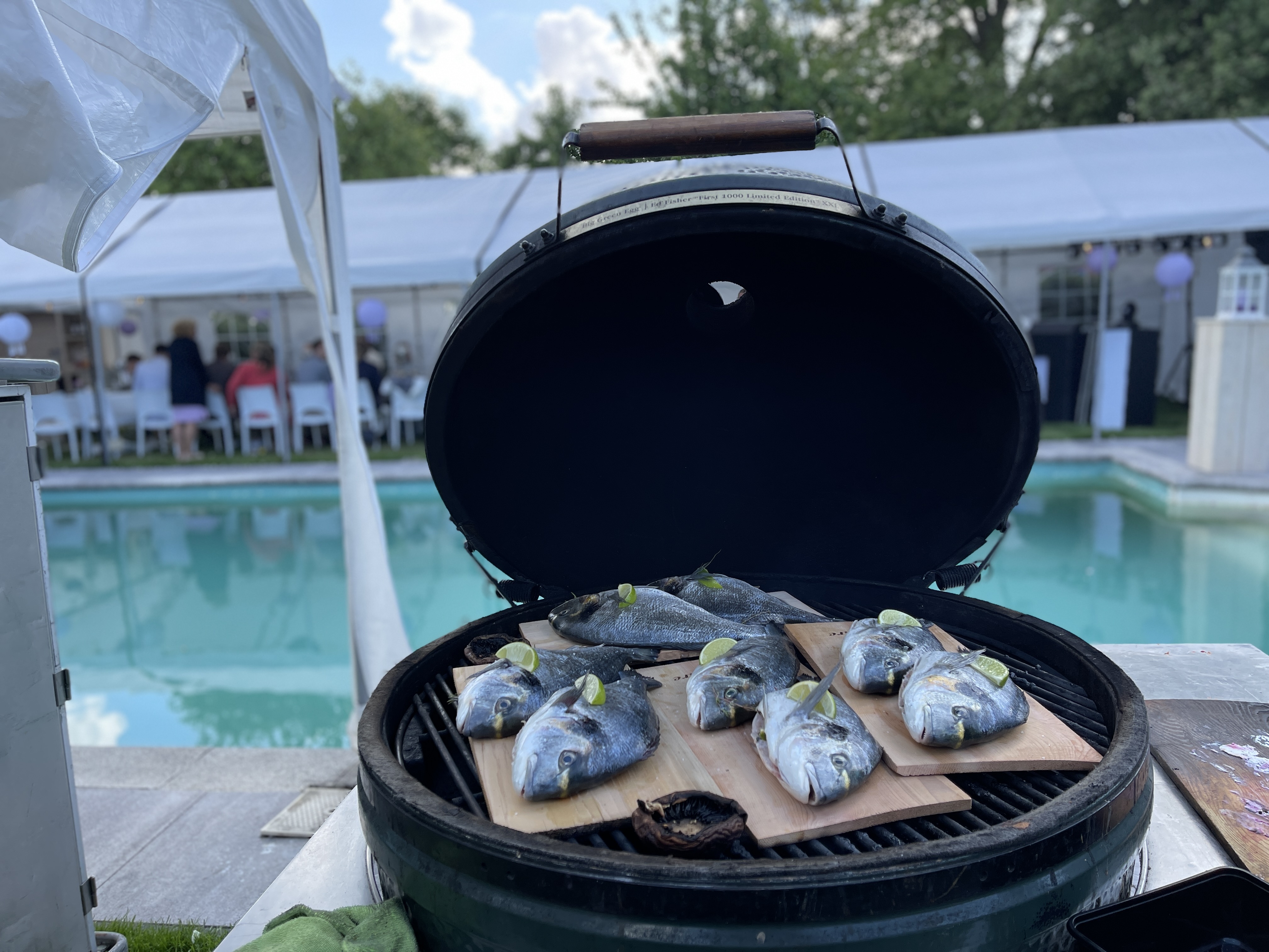 Bruiloft bij het zwembad Dorade van de BBQ